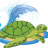 turtle61